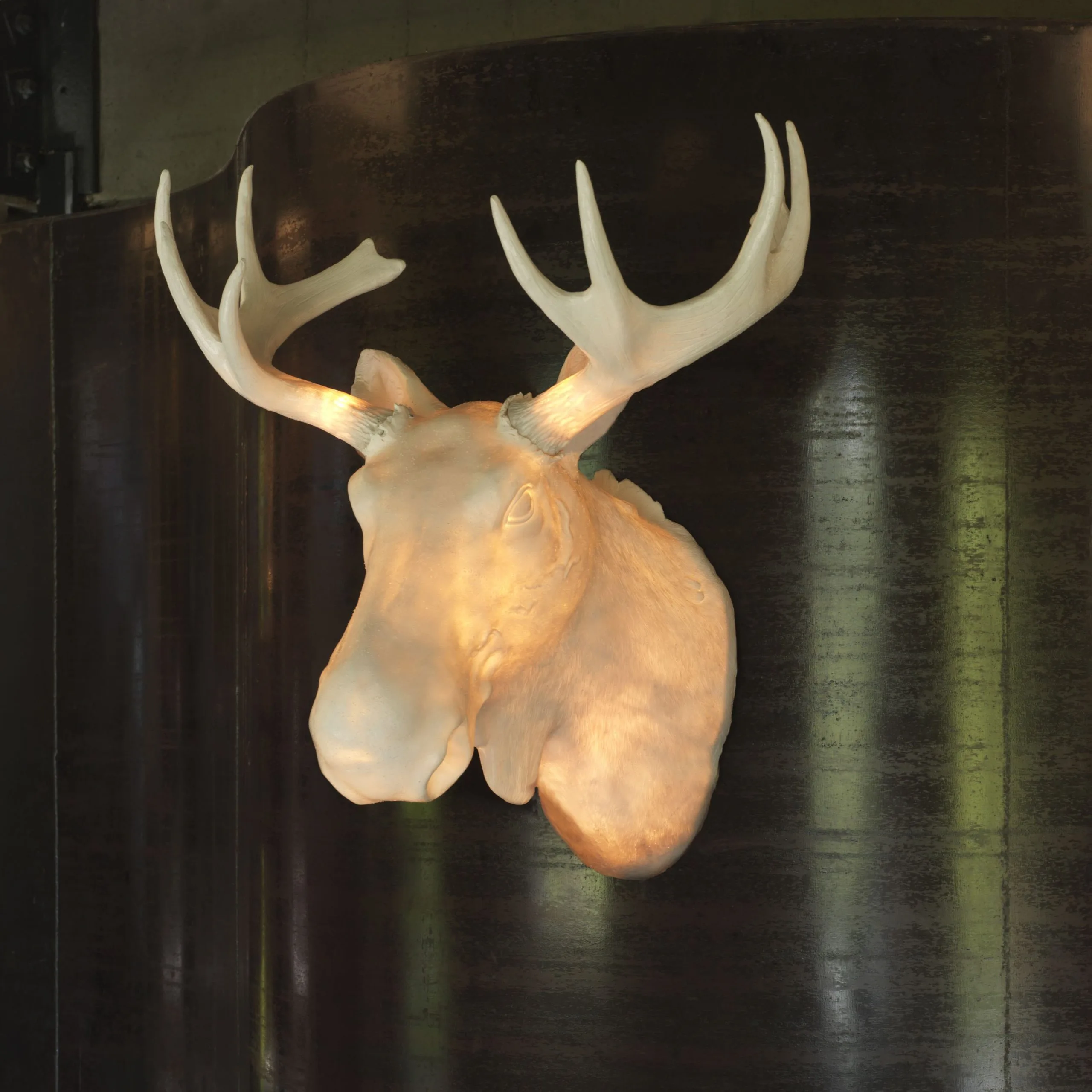 Northern Moo Wandlamp 2 Northern Moo Wandlamp - Afbeelding 2